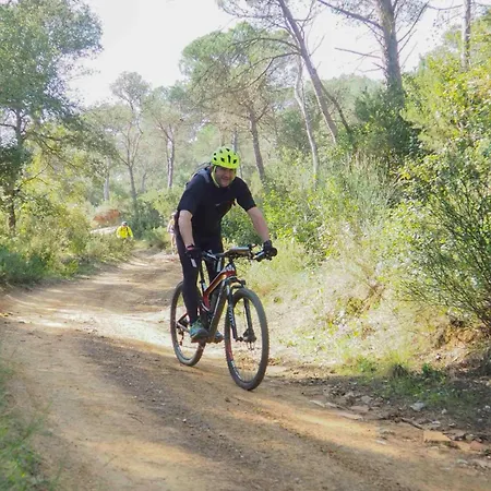 L'essencia De L'emporda -girona- * Verges