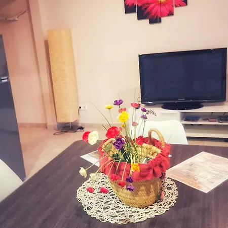 Activitats Bora Bora-empordà Appartement *