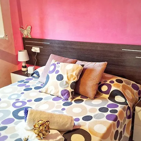 Activitats Bora Bora-empordà Appartement