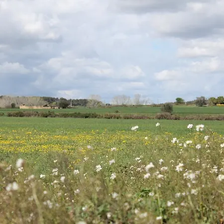 Activitats Bora Bora-empordà * Verges